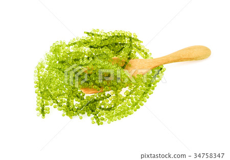 Umi-budou, grapes seaweed or green caviar Umi-budou, grapes seaweed or green caviar 34758347