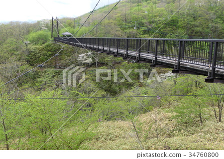 Azalea Suspension Bridge Nasu Highland 34760800