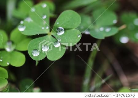 水滴雨滴雨 34761570