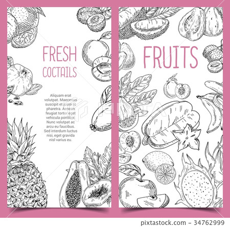 Sketch of vegetarian fruits. Pineapple and plum Sketch of vegetarian fruits. Pineapple and plum 34762999