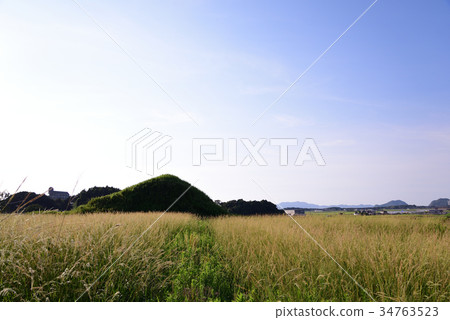 Landscape with an old tumulus 34763523