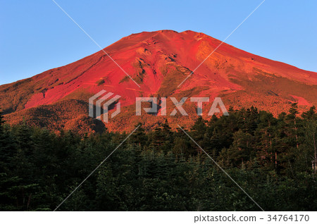 Red Fuji Red Fuji 34764170