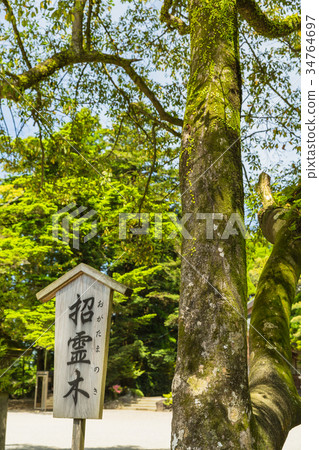 Kagoshima Kirishima Shrine 34764697