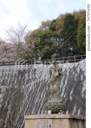Shikoku Reijo No. 52號Fudasho Taizanji Temple Kannon 34765489