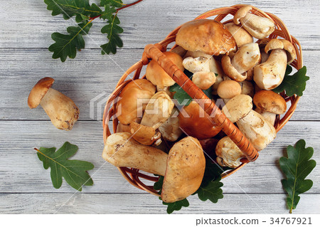organic Boletus mushrooms in wicker basket organic Boletus mushrooms in wicker basket 34767921