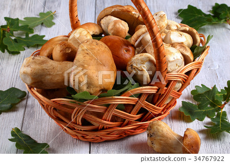 fresh organic Boletus in wicker basket 34767922