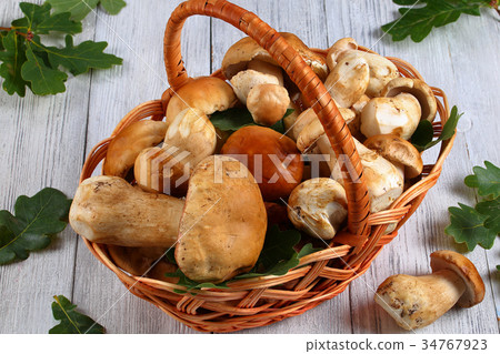 fresh organic Boletus in wicker basket 34767923