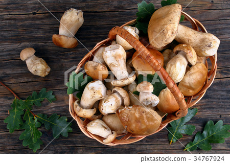 fresh organic Boletus in wicker basket 34767924