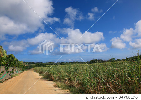 一條通往Minamidaito島天空的單一道路 34768170