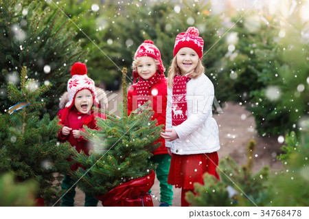 Kids selecting Christmas tree. Xmas gifts shopping 34768478