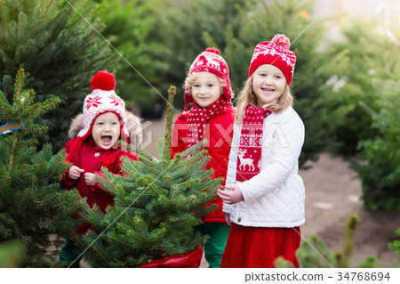 Kids selecting Christmas tree. Xmas gifts shopping 34768694