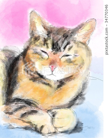 Cat Illustration Cat Illustration 34770346