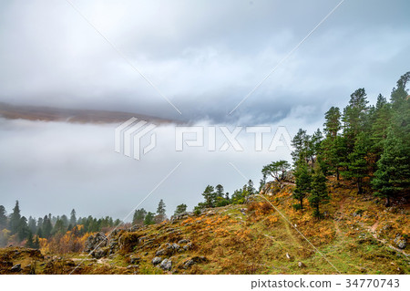Autumn landscape with mountain forest Autumn landscape with mountain forest 34770743