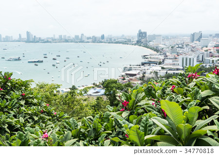 Pink flowers with blurred city and sea background 34770818