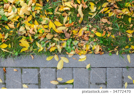 Autumn Fallen Leaves on the Pavement and Lawn 34772470