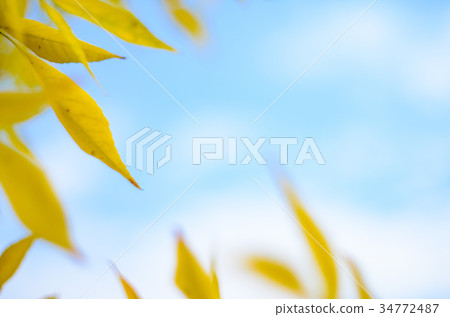 Abstract autumn background Abstract autumn background 34772487