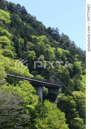 Omekaido山區新鮮綠色 34773463