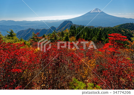 Mt. Fuji of Misaka mountainous area, Mt. 34774206