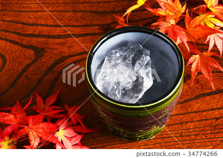 Shochu maple 34774266