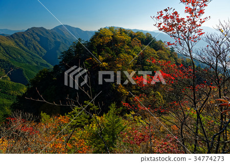 Misaka mountain area of autumnal leaves seen from Misaka mountain area, the juvenile mountain ridge line 34774273