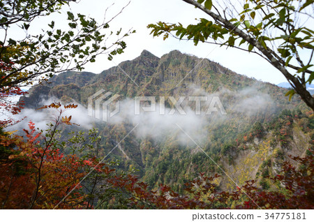 Nishidake Togakushi Autumn Autumn leaves Togakukokogen Myokotokokudakzan National Park Togakakzan Mountain Sky Cloud Okusha Back Mountain 34775181