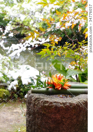 日本庭園 日本庭園 34776057