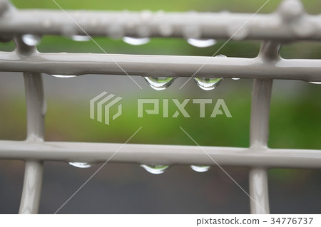 After the rain 34776737