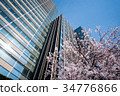 櫻花在東京中城 34776866