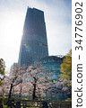 東京中城和櫻花 34776902