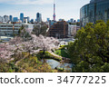 森園，東京塔和櫻花 34777225