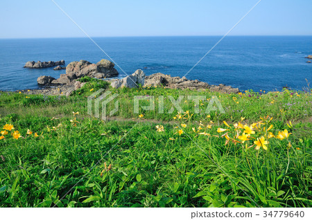 Aomori Prefecture Hachinohe-shi, summer at Tose difference coast 34779640