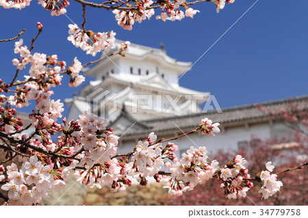 Himeji castle Himeji castle 34779758