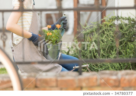 A young woman doing gardening A young woman doing gardening 34780377