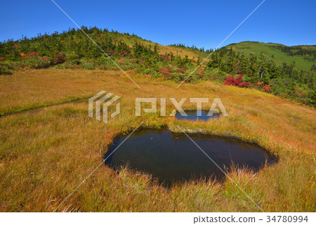 從草地下面的草秋葉和Aizu Komagatake Koma的小屋 34780994