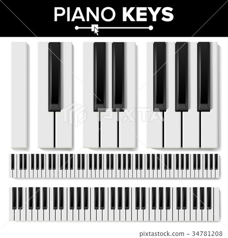 Piano Keyboard Vector. Realistic Isolated Piano Keyboard Vector. Realistic Isolated 34781208
