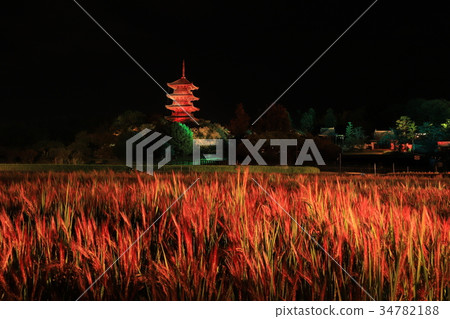 Bei China Branch Temple Five-storied pagoda and red rice light up Bei China Branch Temple Five-storied pagoda and red rice light up 34782188