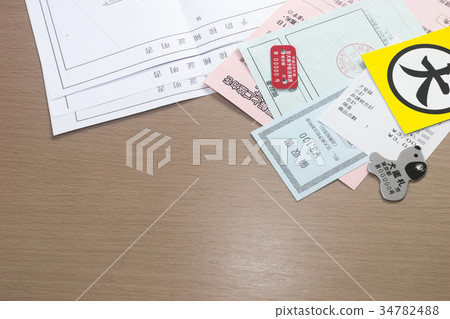 Pet dog related expenses 34782488