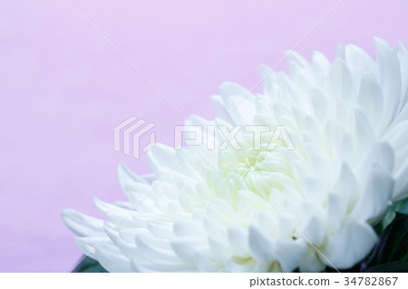  Buddha image 34782867