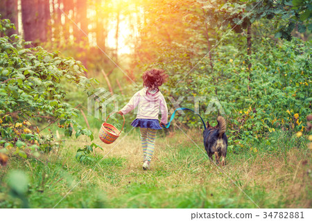Little girl with dog walking in the forest Little girl with dog walking in the forest 34782881