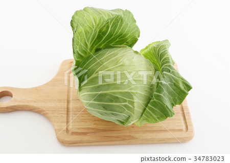 新鮮的白菜 34783023