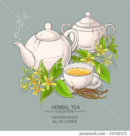 vanilla tea illustration 34783575