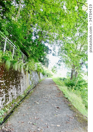 Hikari Sakanoue 34784419