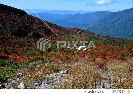 那須縣那須郡那須町的秋葉 34784760