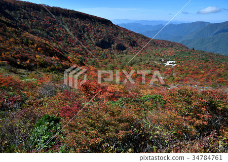 那須縣那須郡那須町的秋葉 34784761