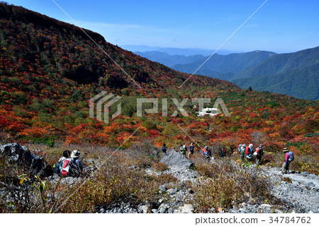 那須縣那須郡那須町的秋葉 34784762