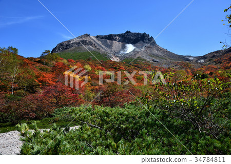 栃木縣那須郡那須町 34784811