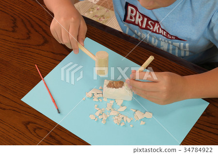 六年級小學科學化石化石挖掘經驗 34784922
