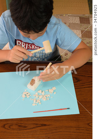 6th grade elementary school science fossil fossil excavation experience 34784925