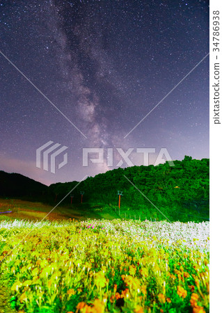 Flower field and Milky Way 34786938
