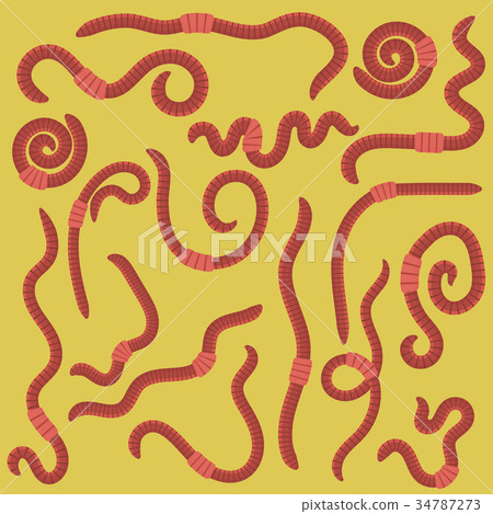 Animal Earth Red Worms Animal Earth Red Worms 34787273